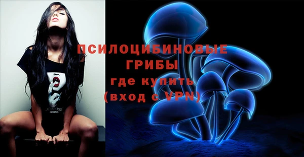 дживик Богданович