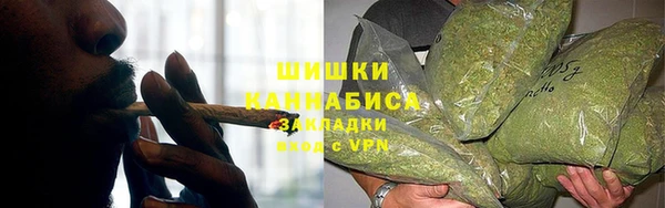 дживик Богданович