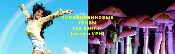 индика Верхний Тагил