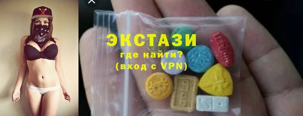 индика Верхний Тагил