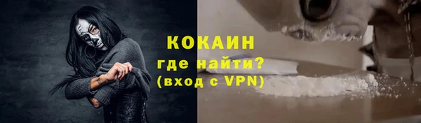 индика Верхний Тагил
