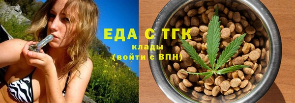 индика Верхний Тагил
